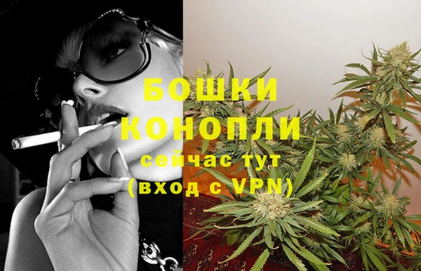 дмт Мегион