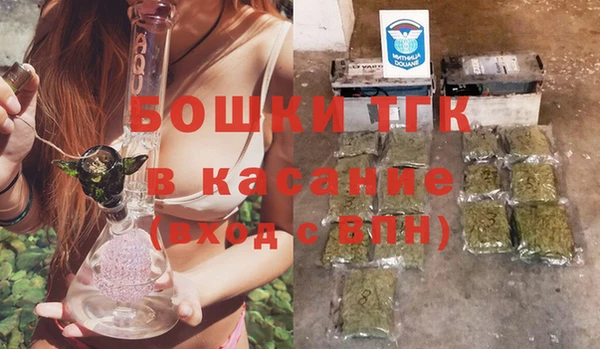 дмт Мегион