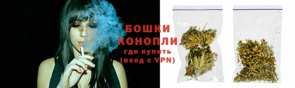 ГАЛЛЮЦИНОГЕННЫЕ ГРИБЫ Белая Холуница