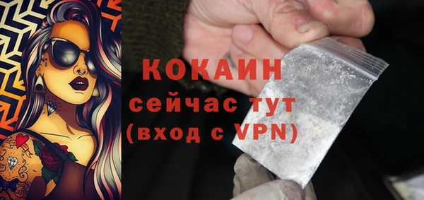 дмт Мегион