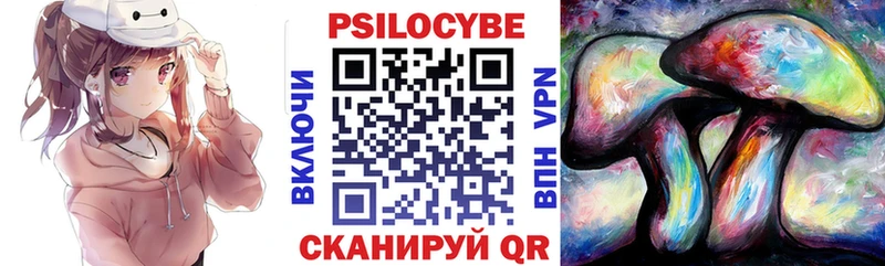 как найти наркотики  Отрадный  сайты даркнета Telegram  Псилоцибиновые грибы Cubensis 